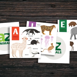 Tarjetas flash del alfabeto animal A-Z - Tarjetas de práctica silenciosa - Actividad de jardín de infantes, educación en el hogar, Montessori o en el aula ¡DESCARGA INSTANTÁNEA!