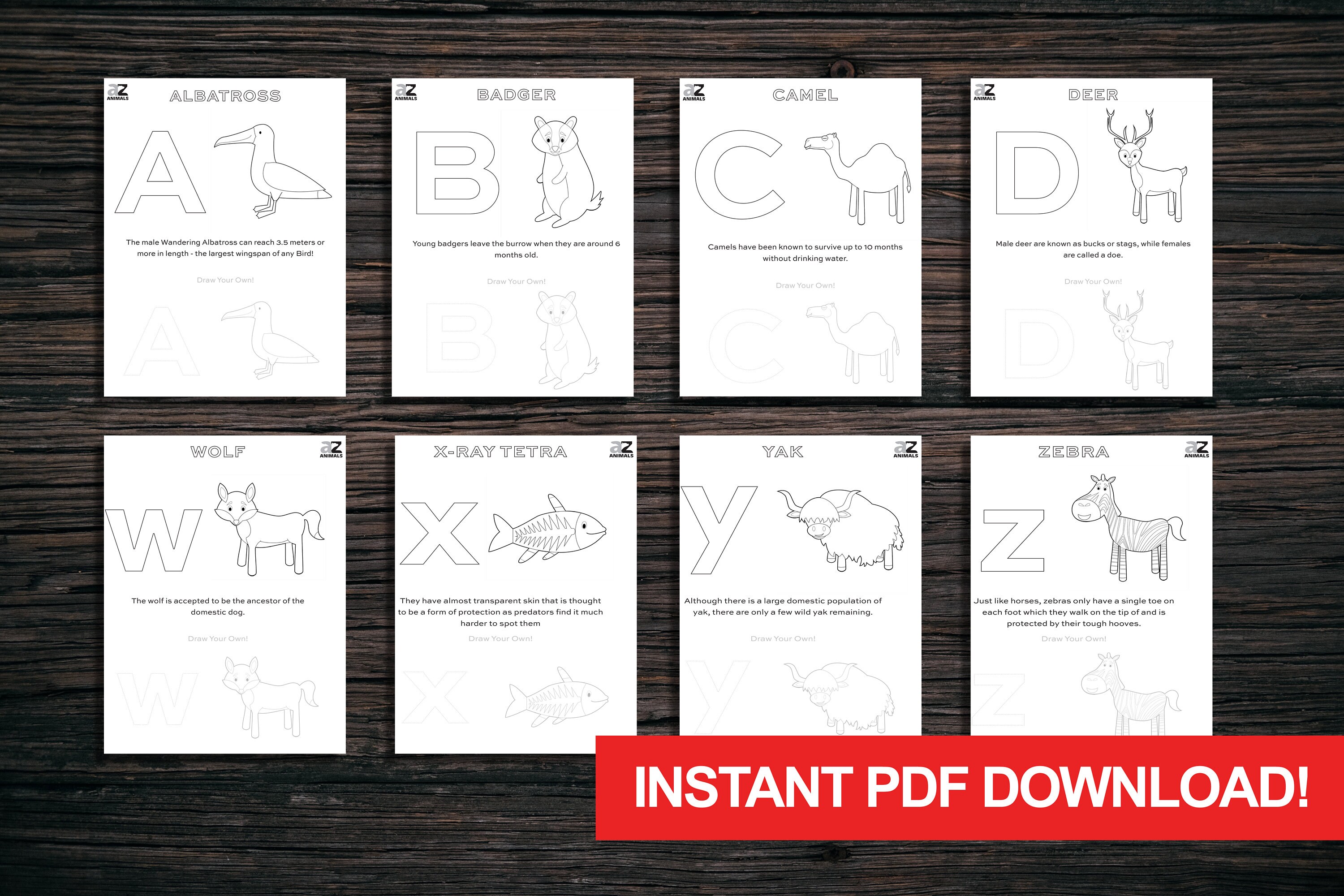 Download A Z Printable Alphabet Coloring Book Animals By Letter Etsy