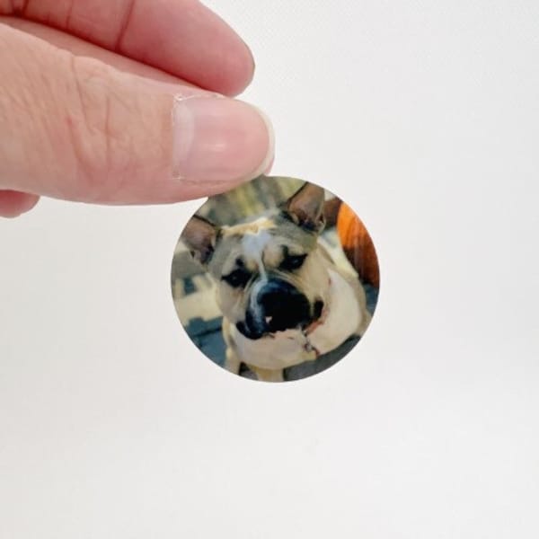 pet tags personalized tags personalized for dogs, dog tags for dogs personalized, dog tags, dog tags with picture, dog tags with photo