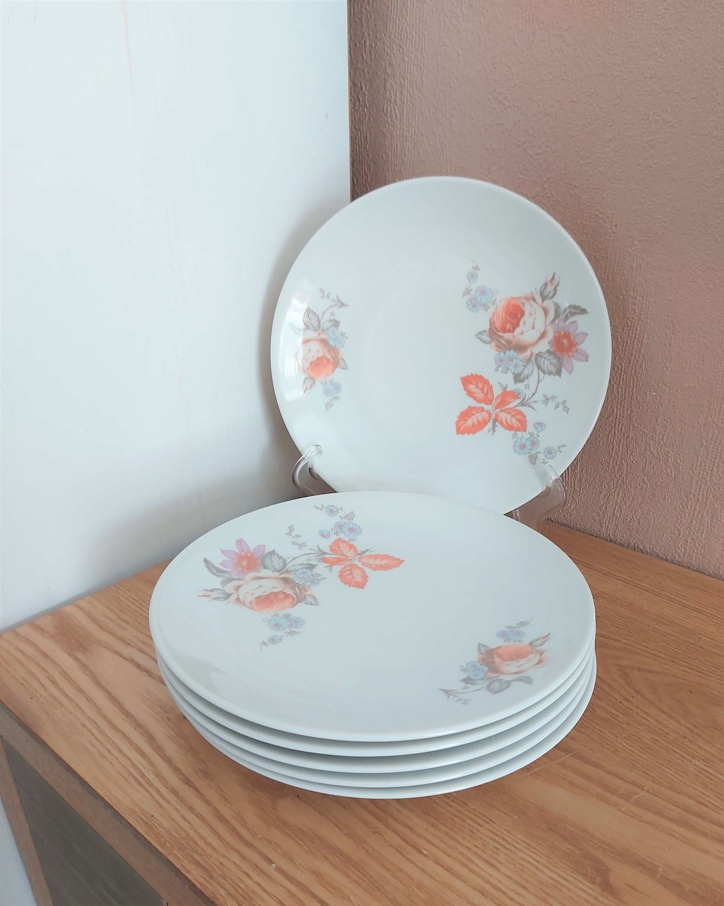 Vintage CZECH BOHEMIA Inglazed Porcelain Serving SET 18