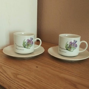 Vintage SELTMANN WEIDEN Bavaria Botanical Porcelain Coffee SET 4, Germany, 1960s