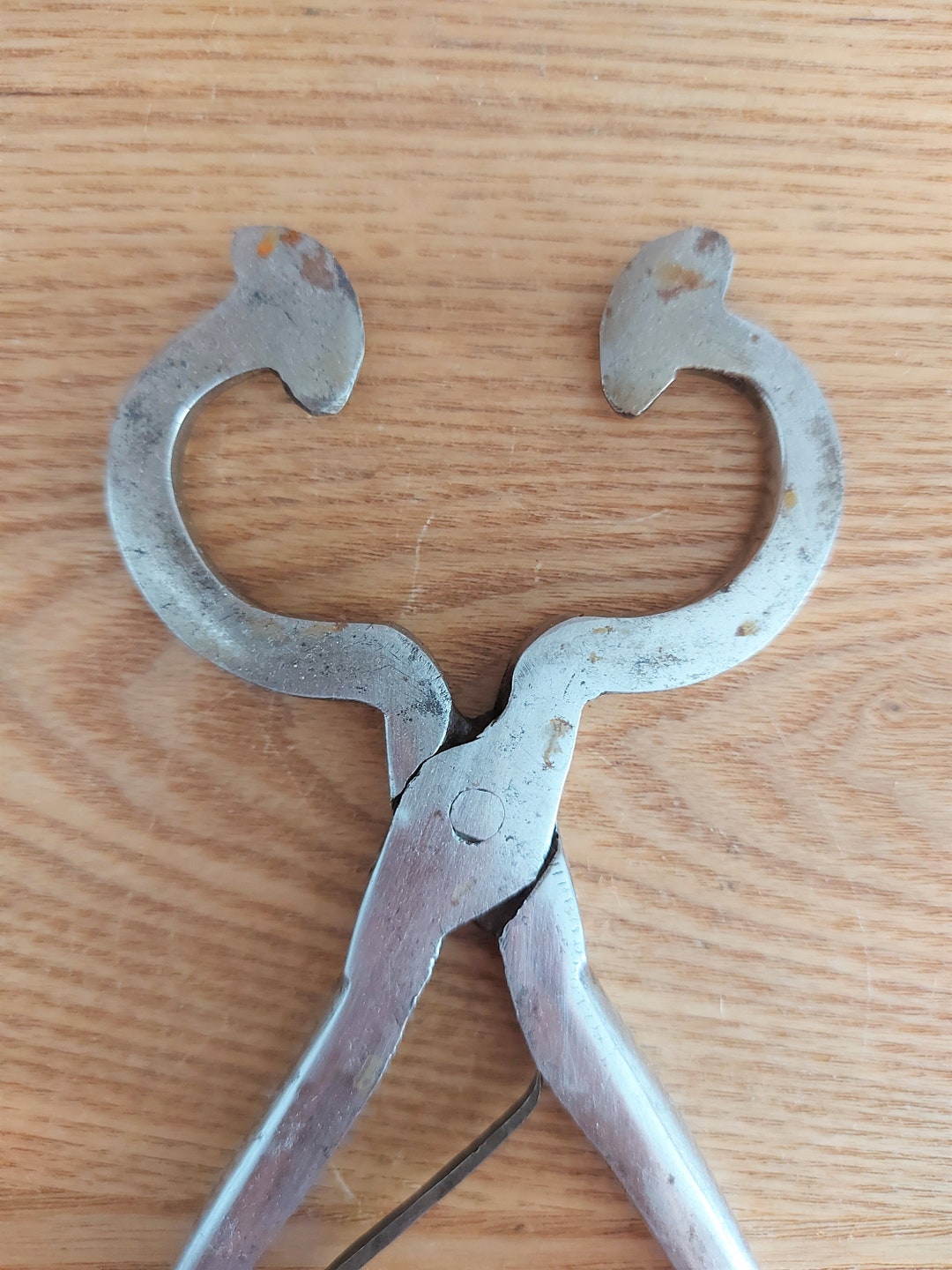 Antique Scandinavian Sugar Nippers , Collectible Metal Sugar Cutters Etsy