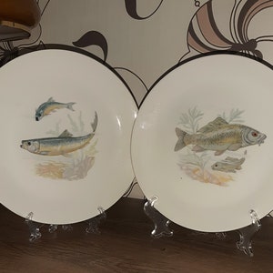Peut inclure: Deux assiettes en céramique blanche avec des bords noirs, chacune représentant un motif de poisson différent. Une assiette représente un hareng et un petit poisson, tandis que l'autre représente une carpe et un petit poisson. Les deux assiettes ont un fond blanc avec un motif vert clair et brun.