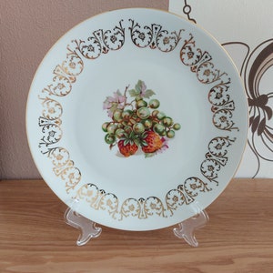 Vintage Czechoslovakia porcelain dinner plate, Czech Fruit design tableware