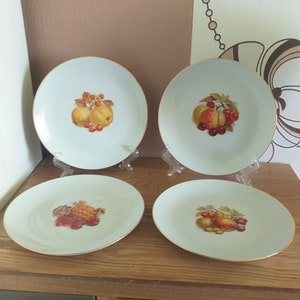 Vintage SELTMANN WEIDEN BAVARIA Fruit and Nuts Porcelain Plates Set 4, Germany, 1960s