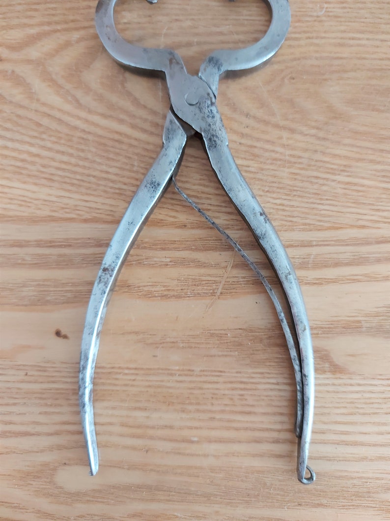 Antique Scandinavian Sugar Nippers Collectible Metal Sugar Etsy