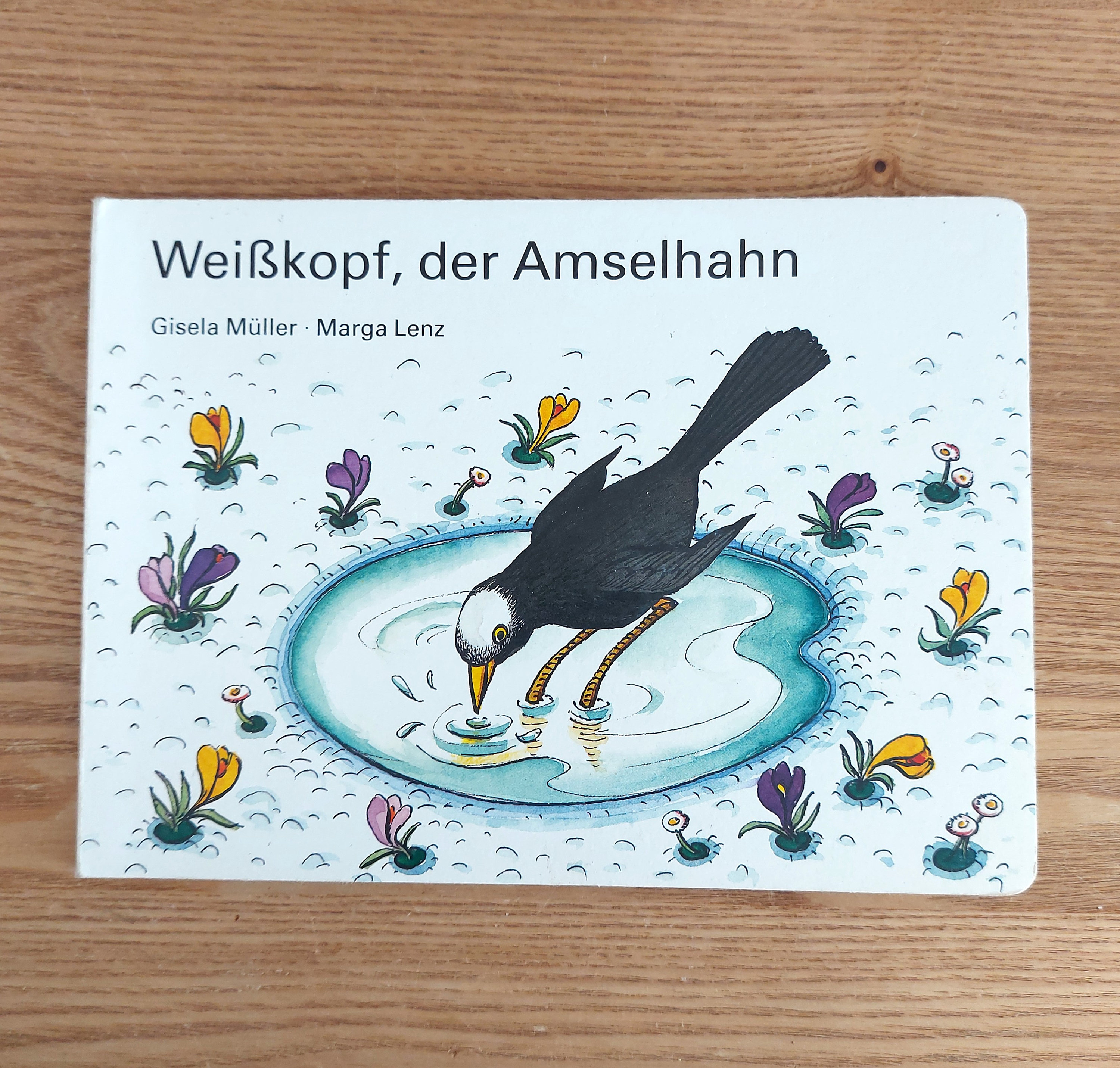 ヴィンテージドイツの本、鳥に関する絵本 SET 3、ドイツ、1980 年代