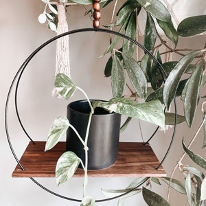 Walnut Hanging hoop plant shelf