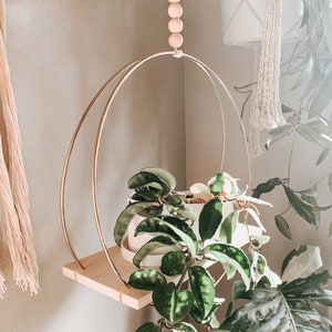 Hanging hoop plant shelf