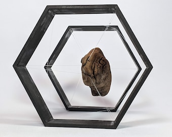 Pretensegrity Framed Driftwood