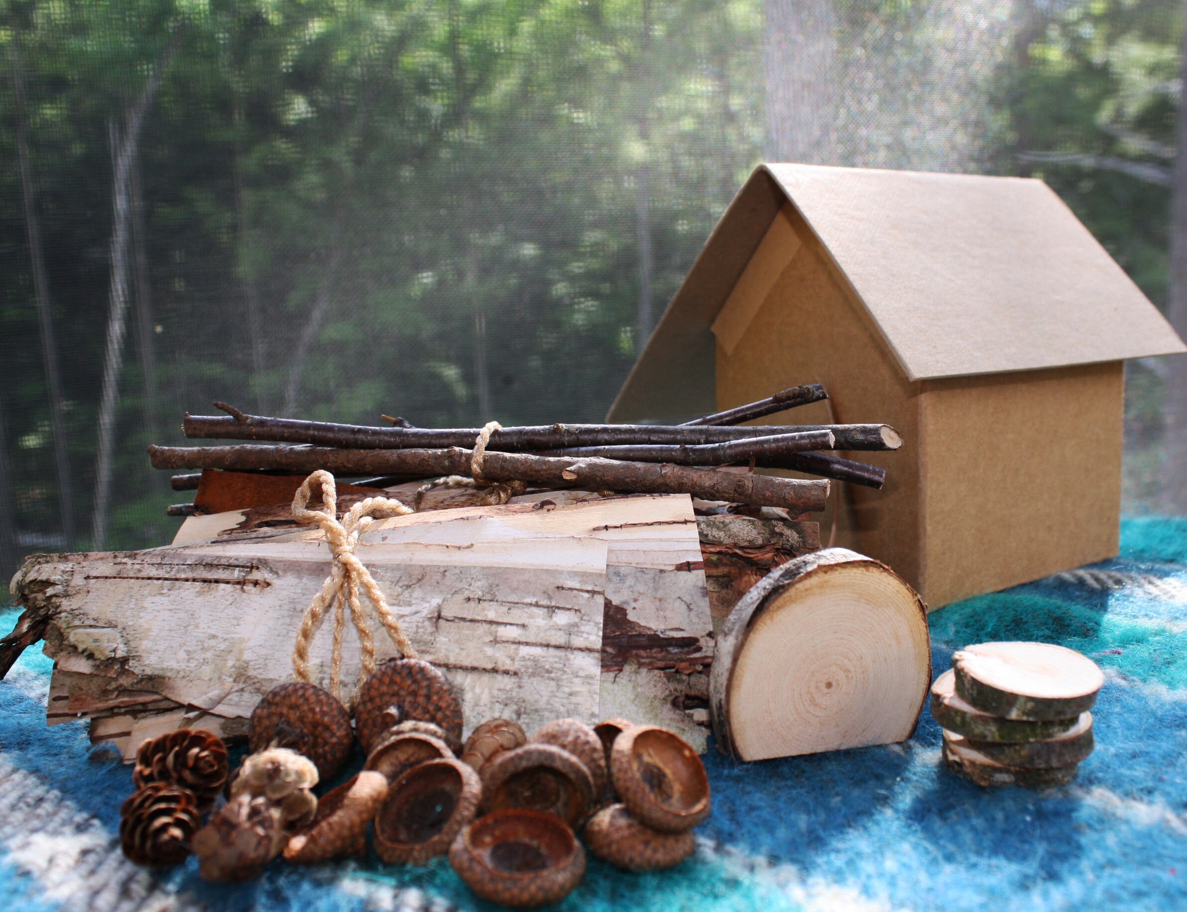 Fairy House Kit/ Build your own unique birchbark and moss Etsy