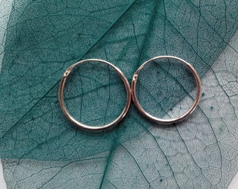 May include: Two silver hoop earrings on a green leaf background.