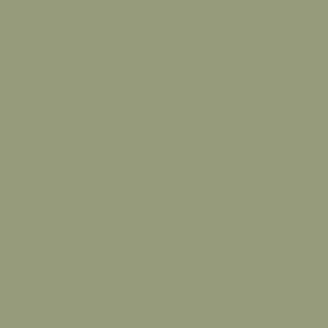 May include: A solid sage green background.