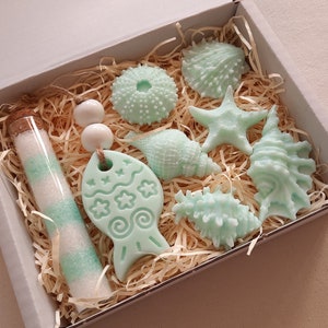 May include: A gift box filled with sea-themed bath products. The box contains a small bottle of bath salts, a starfish, a seashell, a seahorse, a starfish, a sea urchin, and a fish-shaped soap.
