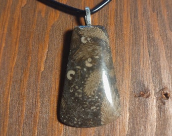 Beautiful Cladophora Fossil Stone Pendant from Michigan