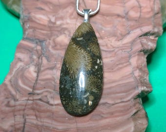Enchanting Cladophora Fossil Stone Pendant from Michigan