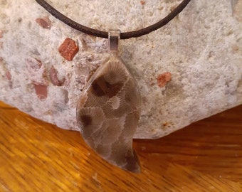 Freeform Petoskey Stone pendant MI w/cord