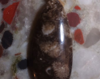 Beautiful Cladophora Fossil Stone Pendant from Michigan