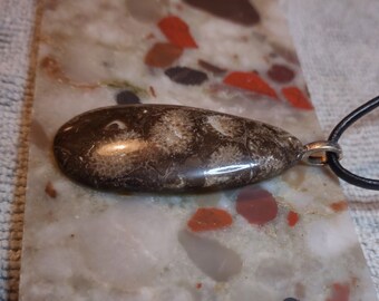 Beautiful Cladophora Fossil Stone Pendant from Michigan