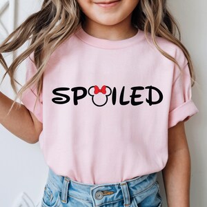 Spoiled Broke Disney Trip Shirts, Disney World Couple Matching Sweatshirts, Family Disney Shirts immagine 9