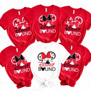 Custom Disney Family Vacation Shirts, Matching T-shirts
