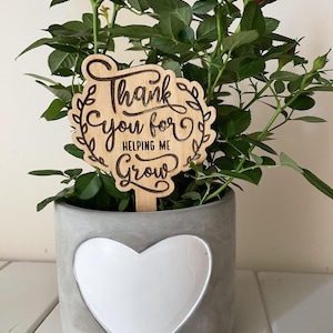 Blume Lehrer Pflanze Anhänger, Geschenk für Lehrer, Ende des Schuljahrs, Geschenk, Danke, Schule, Kindergarten, Geschenk.