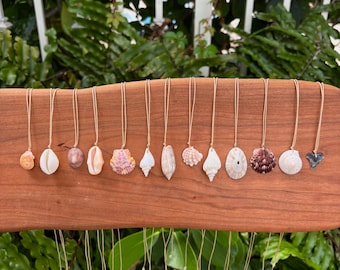 Seashell Necklaces