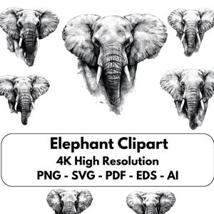 Elephant Clipart!  Elephant Portrait Clip Art!  PNG, SVG, Vector for sublimination.  Hand drawn style.  Commercial Use | Personal Use