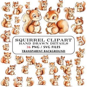 Squirrel Clipart - 36 Cute Squirrel Clipart Bundle. Adorable Woodland Animal Clip Art.  Colored Pencil Style SVG, PNG Clip Art - Creative!
