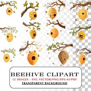 Bijenkorf clipart.  12 afbeeldingen met transparante achtergrond. Vector-SVG, PNG. Bijenkorf illustraties.  Variaties van bijenkorven: knutselidee