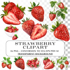 Clipart fraise aquarelle !  36 cliparts réalistes de fraises aquarelles.  Graphismes et images PNG en matière de vecteurs.  Clipart baies. projets de bricolage