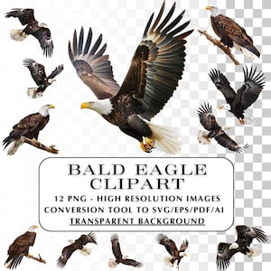 May include: A digital clipart set of 12 high-resolution images of bald eagles in various poses. The images have transparent backgrounds and can be converted to SVG, EPS, PDF, or AI formats.  BALD EAGLE CLIPART 12 PNG - HIGH RESOLUTION IMAGES CONVERSION TOOL TO SVG/EPS/PDF/AI TRANSPARENT BACKGROUND