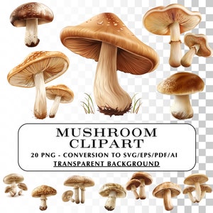 Mushroom Clipart!  20 Realistic Mushroom Clip Art Images and Graphics.  PNG, SVG illustrations for your personal projects, crafts, and diy