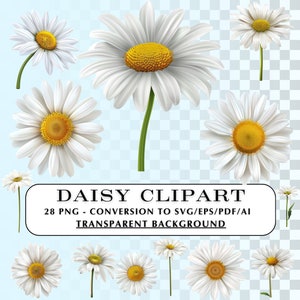 Daisy Clip Art!  28 Realistic Daisy Clipart images and graphics.  PNG, SVG, files to be used in personal projects and crafts.  DIY