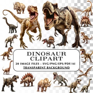 Clipart di dinosauri - 20 immagini di grafica realistica di dinosauri in formato SVG e PNG. Clipart di dinosauri. T-Rex, Stegosaurus, Velociraptor e altro ancora!
