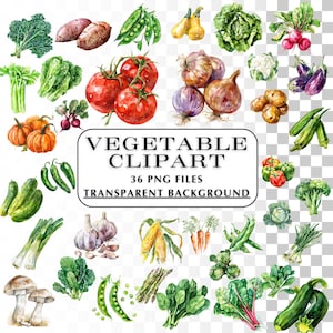 Bundle de cliparts végétariens - 36 images vectorielles de clip art légumes dessinés à la main, album de scrapbooking imprimable, décoration culinaire, clipart légume - idées DIY