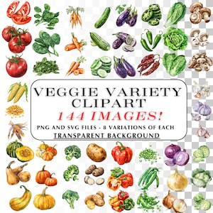 Clipart de légume - 144 images au crayon de couleur de légumes PNG images, clipart végétarien - adorable pour les projets de bricolage de jardin et les graphiques