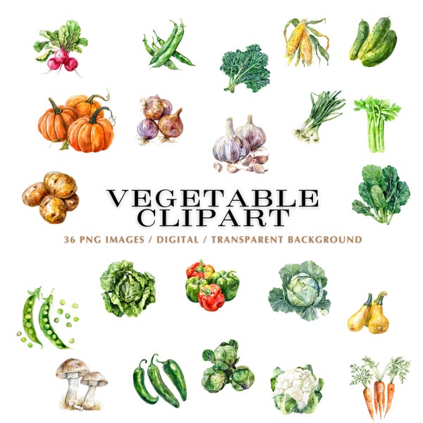 Vegetable Clipart Bundle.  36 Vegetable PNG files with transparent backgrounds.  Variety of Veggie Clip Art to create your own products.