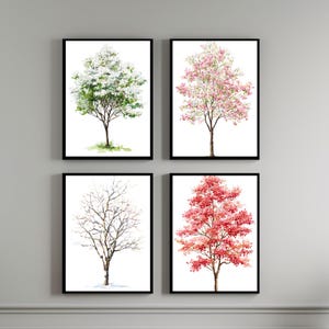 Dogwood Trees Watercolor Painting Set - Changing Seasons Nature Décor - Dogwood Trees Print - Home Wall Art - Four Seasons - Tree Painting