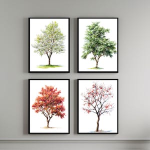Hawthorn Tree Watercolor Painting Set - Changing Seasons Nature Décor - Hawthorn Trees Print - Wall Art - Four Seasons - Tree Painting