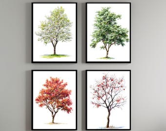 Hawthorn Tree Watercolor Painting Set - Changing Seasons Nature Décor - Hawthorn Trees Print - Wall Art - Four Seasons - Tree Painting