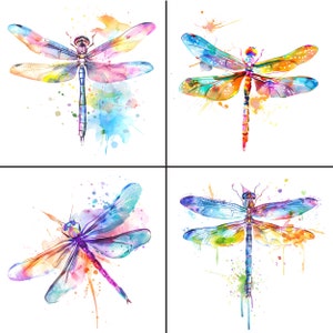 Dragonfly Clipart - Watercolor Splatter and Splash - 36 PNG files, Dragonfly clip art, Dragonfly Graphics, Dragonfly PNG