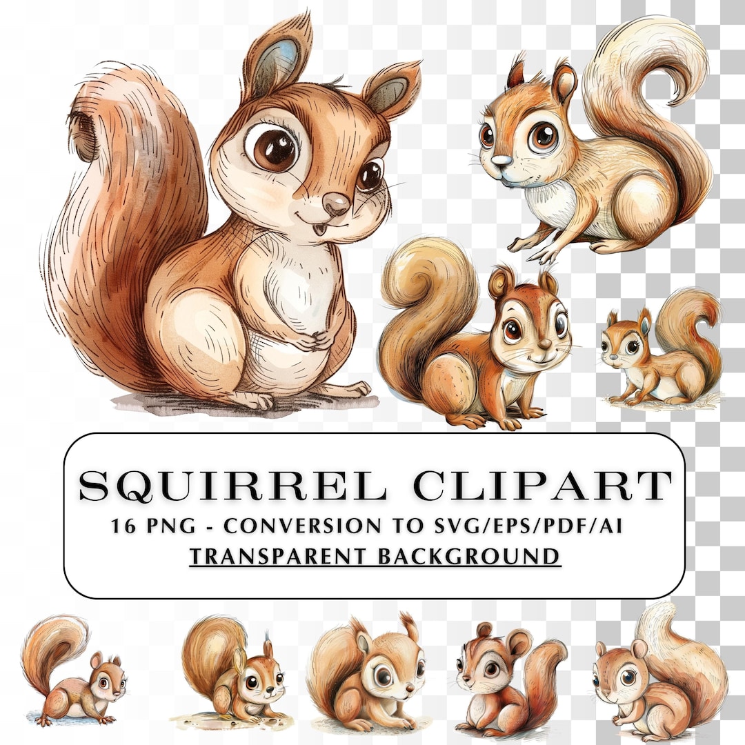 Squirrel Clip Art! 16 Colored Pencil Style Squirrel PNG, SVG, EPS, Pdf ...