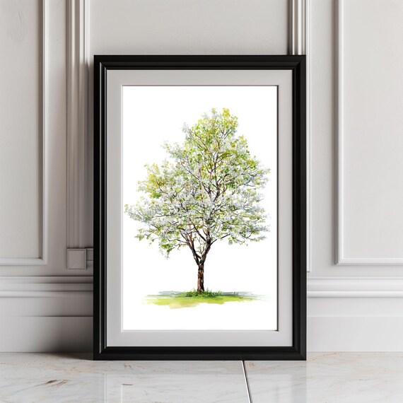 Hawthorn Tree Watercolor Painting Set - Changing Seasons Nature