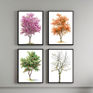 Könnte beinhalten: Vier gerahmte Kunstdrucke mit Aquarellmalereien von Bäumen in verschiedenen Jahreszeiten. Die Bäume zeigen rosa Blüten, orangefarbene Blätter, grünes Laub mit roten Beeren und kahle Äste. Jeder Druck hat einen schwarzen Rahmen.
