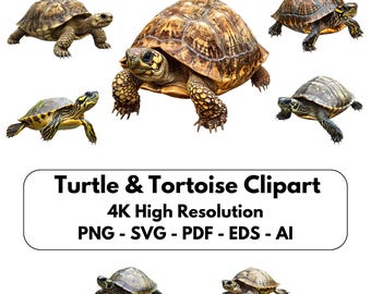 Turtle and Tortoise Clipart Set, Realistic Clip Art PNG graphics for Invitations and DIY Projects, Unique Nature Gift