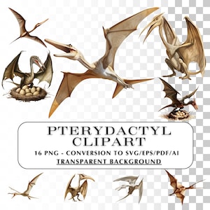 Pterodactylus-clipart!  4K pterodactylus png-afbeeldingen en -graphics.  Commercieel en persoonlijk gebruik.  SVG, vector voor sublimatie