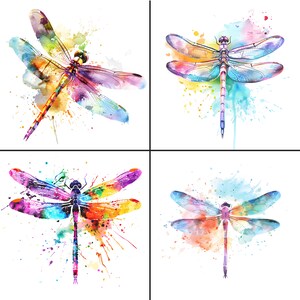 Dragonfly Clipart - Watercolor Splatter and Splash - 36 PNG files, Dragonfly clip art, Dragonfly Graphics, Dragonfly PNG