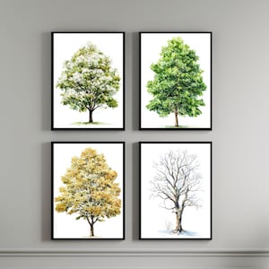 Catalpa Trees Watercolor Painting Set - Changing Seasons Nature Décor - Catalpa Trees Print - Home Wall Art - Four Seasons - Tree Painting