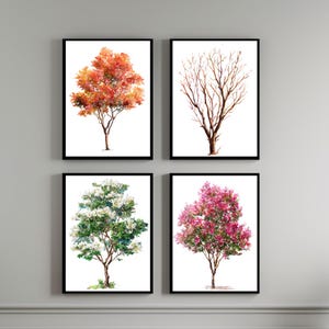 Crepe Myrtle Watercolor Painting Set - Seasons Nature Décor - Crepe Myrtle Trees Print - Home Wall Art - Four Seasons - Tree Painting